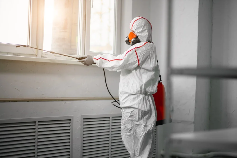 Professional mold remediation services in Oracle, AZ